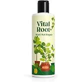 Berkland Vital Root+ Root Rot Repair for Houseplants, 8 oz | Liquid root supplement for recovery from mushy roots &amp; yellowing leaves - 8 oz makes 6 gallons (48 doses) - made in USA