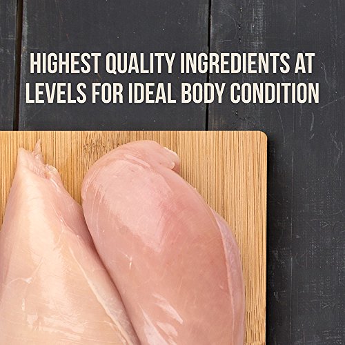 Diamond Premium Recipe HiEnergy Complete And Balanced Dry Dog Food For