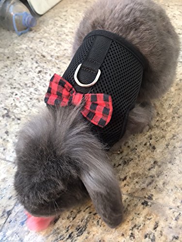 5 Harness+Stylish+Adjustable+Breathable+Walking