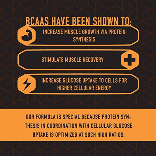 BCAA Ripped Amino Energy Electrolytes Supplement Optimum Nutrition That Helps Improve Mood