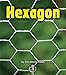 Hexagon (First Step Nonfiction ― Shapes)