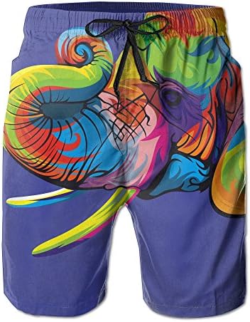 Men's Beautiful And Colorful Elephant Art Stylish Beach Short Boardshot Trunks For Leisure