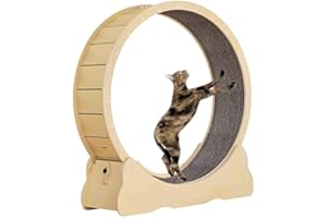 Akenow Cat Running Wheel，Cat Exercise Wheel for Indoor Cats，31.5'' x 39.4''Cat Spinning Wheel Exerciser for Longer Lifespan