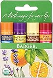 Classic Lip Balm - Tangerine Breeze, Lavender & Orange, Vanilla Madagascar, Pink Grapefruit 4Pk