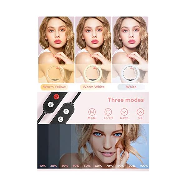 Deefsoul Ringlicht mit Stativ, 10.2" Selfie Ringleuchte Doppel-Handyhalter mit 3 Farbe und 10 Helliakeitsstufen, mit Aufbewahrungstasche, für Makeup, Live-Streaminq, Selfie, Vlog, TikTok – Bild 3