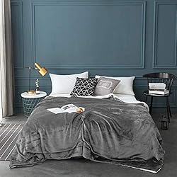 LBRO2M Sherpa Fleece Bed Blanket Queen Size Super