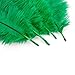 10pcs Home Decor Dark Green Ostrich Feathers