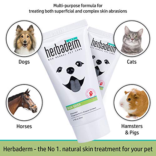 Herbaderm Dog Itch Relief Cream Moisturizes Dry and Itchy Skin