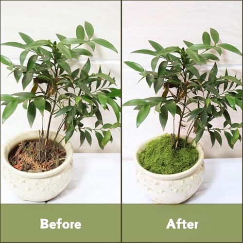 KOWVOWZ Artificial Moss for Potted Plants, 200g Natural Fake Green Moss Grass, Faux Filamentous Decor, DIY Crafts Fake Grass for Parties Art Landscape Table Centerpieces Gardening