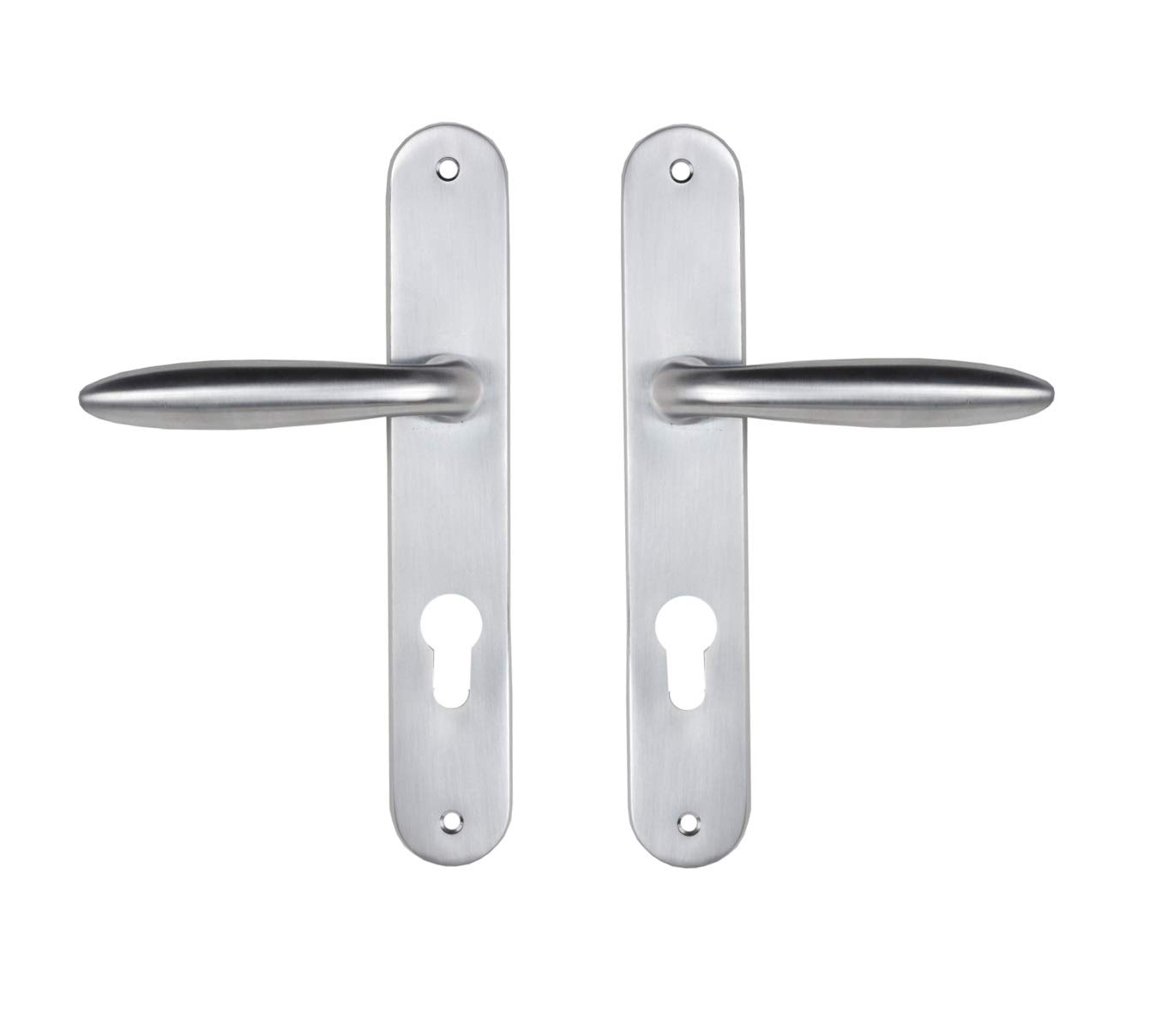 Bricard 984051 Set of Zamak Handles on Sketch Plate for Front Door (for European Cylinder), Silver