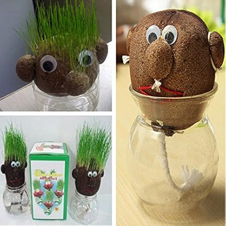 Amazon Ainest魔法吸収性花ポットプランターgrassヘッドヘアハーブ植物人形ポットキットホーム 造花 オンライン通販