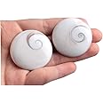 Acxico 2 PCS Natural Sun Shell Shiva Eye Fossil Specimen Crystal Reiki Healing Palm Stone