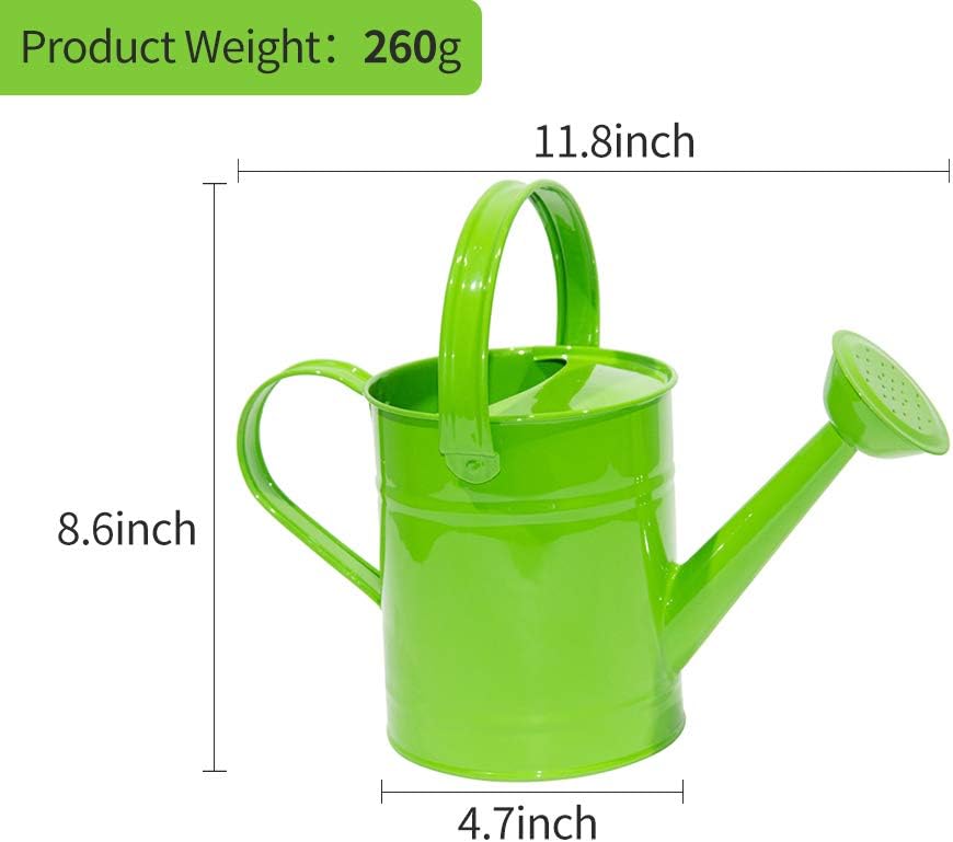 yourjoy Galvanized Metal Wating Can 67 OZ (0.5 Gallon), Watering Pot with Handle and Removable Spout for Outdoor and Indoor Plant Watering : Garden & Outdoor