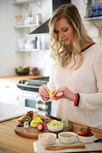 image for Joybell Doctor Designed Baby Fresh Food Feeder Teether Pacifier, Easy 