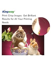 Kingway   Cartucho de tinta de repuesto para impresoras Brother LC3033 LC3033XXL MFC J995DW MFC J995DWXL (negro, cian, magenta, amarillo, 4 unidades)