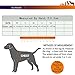 Chai's Choice Best Outdoor Adventure Dog Harness (X-Small, Orange)