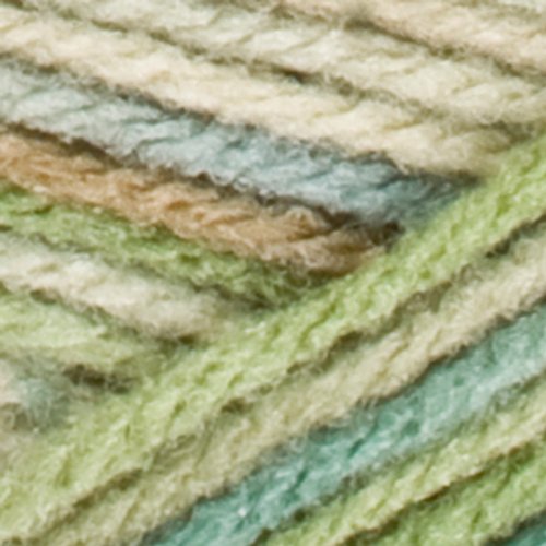 RED HEART SUPER SAVER YARN ASPEN PRINT