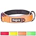 Blueberry Pet 4 Colors Soft & Comfy Summer Hope 3M Reflective Padded Dog Collar with O-Ring, Fluorescent Orange, Medium, Neck 14.5