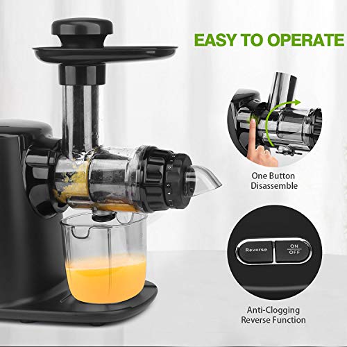 Juicer Machines, Vestaware Juicer Extractor with 5 Adjustable Modes/Reverse Function/Quiet Motion, BPA-Free,Easy to Clean Slow Juicer for Fruits and Vegetables - Thumbnail 3