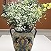 WinnsFlora 10 Branches (Pcs) Gypsophila Baby Breath Artificial Flower Bouquet, Approx. 900 Beautiful White Flowers for Wedding Bridal Party Home Floral Arrangement Decor