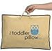 The Toddler Pillow Co. Organic 13x19-Inch Hypoallergenic Pillow and Carrying Bag, Purple Owl