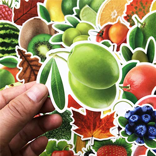 100PCS Colorful Fruits Vegetables Stickers Waterproof Laptop Stickers Car Bicycle Suitcase Computer Water Bottle Mobile Phone Stickers DIY Decals for Kids (Fruits 100)