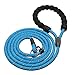 Joytale Dog Slip Leash Rope - Reflective Training Leads for Small Medium Large Dogs - 3/8 inch by 6 Feet - Blue