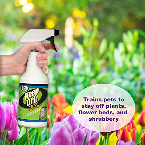 Four Paws Keep Off! Dog and Cat Repellent Outdoors & Indoors Spray Pricepulse