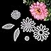 Delight eShop 6pcs Flowers Leaves Metal Cutting Dies Stencils Set For DIY Scrapbooking Photo Album Paper Card