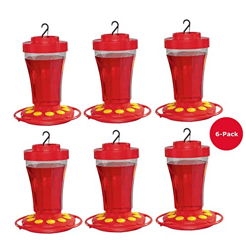 First Nature 3090 Hummingbird Nectar Flower Feeder- Made in the USA 32 oz.