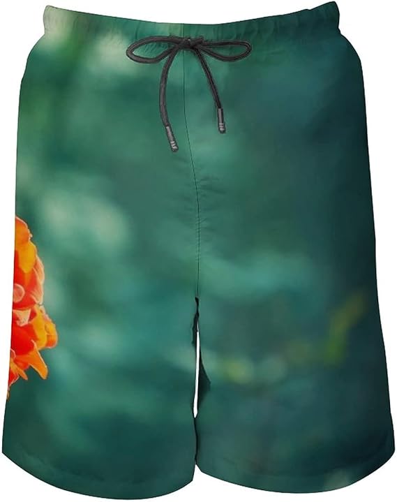 Amazon 薔薇 レッド 葉 グリーン水着 メンズ おしゃれ サーフパンツ 海水パンツ ボードショーツ 人気 スイムパンツ 短パン スイムウェア ビーチパンツ 水陸両用 旅行 速乾 大きいサイズ ショートパンツ 通販