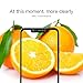 [2-Pack] AOLANDER Xiaomi Pocophone F1 Screen Protector, [Anti-Scratch][Anti-Fingerprint][Bubble Free] Tempered Glass Screen Protector for Xiaomi Pocophone F1 (Black) (Black)