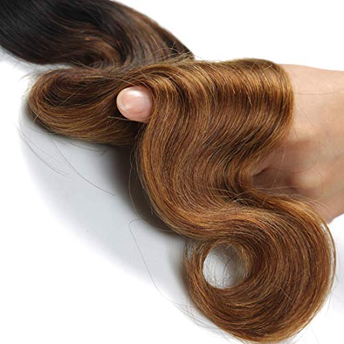 Cranberry-Virgn-Hair-Ombre-Body-Wave-Hair-One-Bundle-Brazilian-Remy-Hair-Body-Wave-Weave-100-Human-Hair-Extensions-3-Tone-1b430-Color-100gpc28Inch