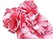 Baby Girls Flower Flounced One Piece Swimsuit With Hat pink-L(2/3Y)