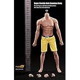 Phicen 1/6 Super Flexible Asia Male Seamless Body PL2016-M32