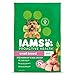 IAMS PROACTIVE HEALTH Small & Toy Breed Adult Dry Dog Food for Small Dogs with Real Chicken, 15 lb. Bag primary
