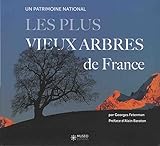 Image de Les plus vieux arbres de France: Un patrimoine mondial