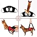 Dogs Lift Harness - Dogs Lift Support Rehabilitation Harness Helping Support for Elderly or Arthritis Dogs (REAR-L, Red)