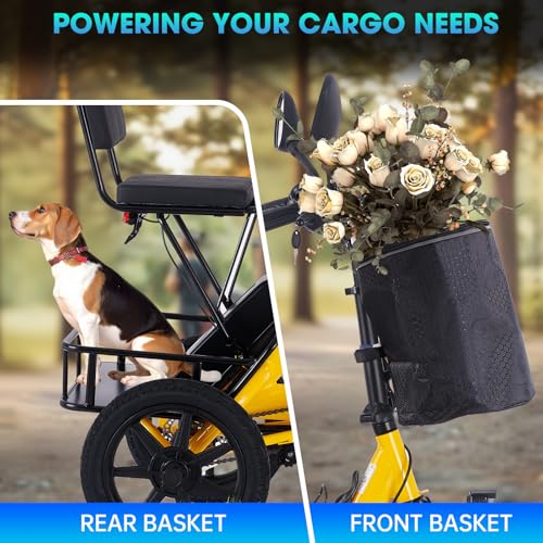 Electric Tricycle for Adults, Peak 500W Brushless Motor Electric Trike, 480Wh Removable Battery, Step-Thru 3 Wheel Electric Bike, 2 Seats, Up to 45 Miles, Folding E Trike Ebike, Gift for Parents