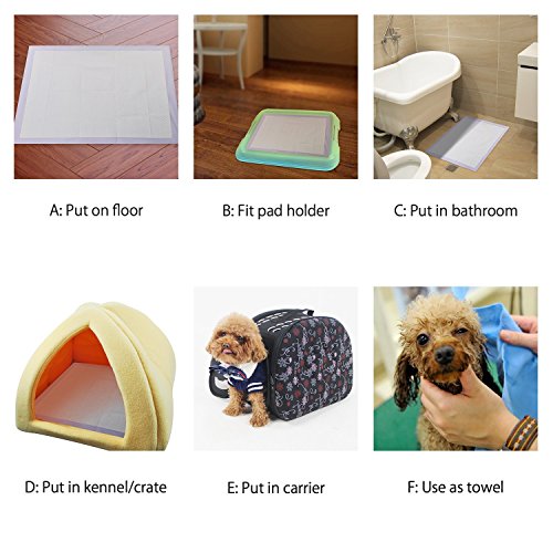 Petphabet 100 Pack Dog Pee Pads 23 by 24 Inches,Lavender Scented Dog