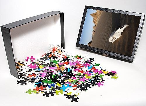 Photo Jigsaw Puzzle of A camel skull at the royal cemetery of Nuri