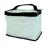 Clear Totes Train Makeup Case