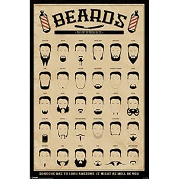 Pyramid America Beards The Art of Manliness Cool Wall Decor Art Print Poster 24x36