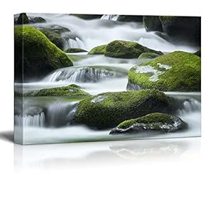 Beautiful Scenery Landscape Cascading Water Over Bright Green MossCovered Boulders in Tennessee - Canvas Art Wall Art - 12" x 18"