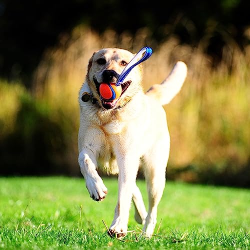 Chuckit! 231201 Ultra Tug Ball for Dogs, Launcher Compatible, M