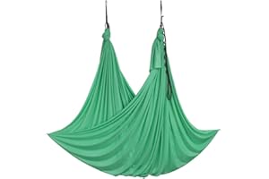 Wellsem Deluxe L:5.5 Yards W:3 Yard Pilates Yoga Flying Swing Aerial Yoga Hammock Silk Fabric for Yoga Bodybuilding(5mx2.8m)