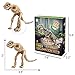 JOHOUSE Dinosaur Fossil Dig Kit, Excavate 13 Dinosaur Fossil Skeleton- Great STEM Science Gift for Paleontology and Archeology Enthusiasts of Any Age