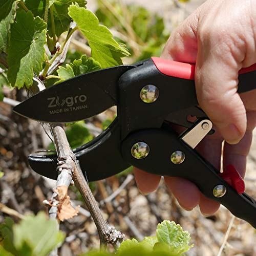 Zugro Pruning Shears for Small Hands Effort Saving Ratchet Pruners
