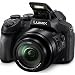 Panasonic Lumix FZ300 4K Point and Shoot Digital Camera with 24x Leica DC Vario-Elmarit 25-600mm Lens DMC-FZ300K Bundle with Deco Gear Bag Case + Filter Kit + Photo Video Software & Accessoriesthumb 1