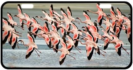Amazing Flying Flamingos Strong And Durable Aluminum Car License Plate 12" X 6"